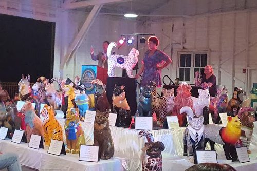 Pawprint cat being auctioned off