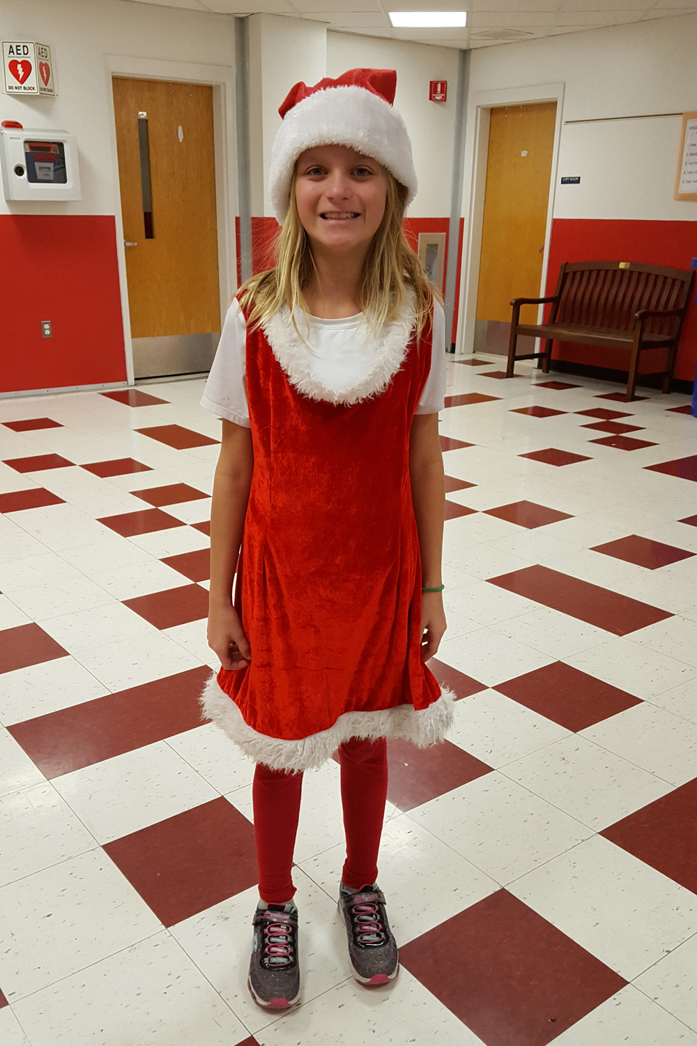 girl in Santa hat and dress