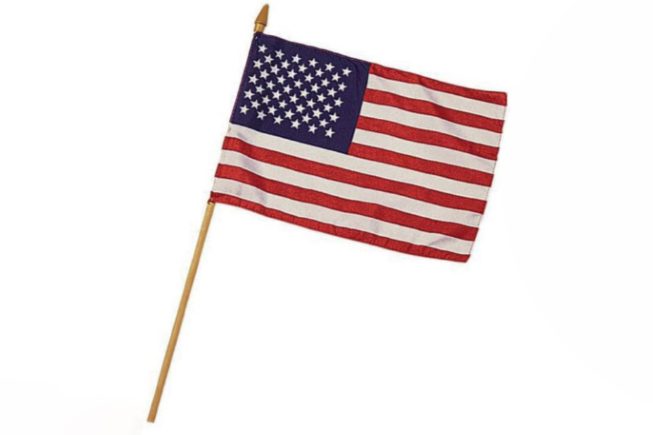 Amercan Flag on stick