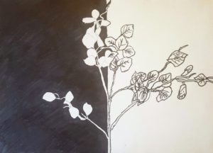 drawing of plant with leaves