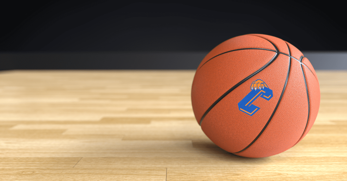 basketball with Catskill CSD logo