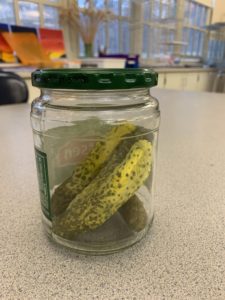 pickle sculptures in a jar