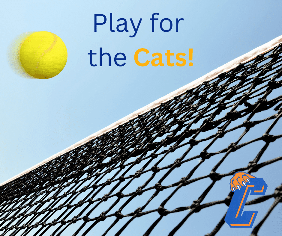 tennis ball flying over net and the words play for the Cats!