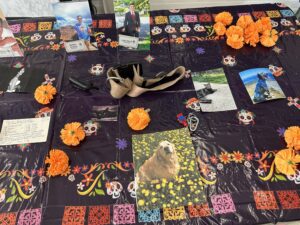 ofrenda