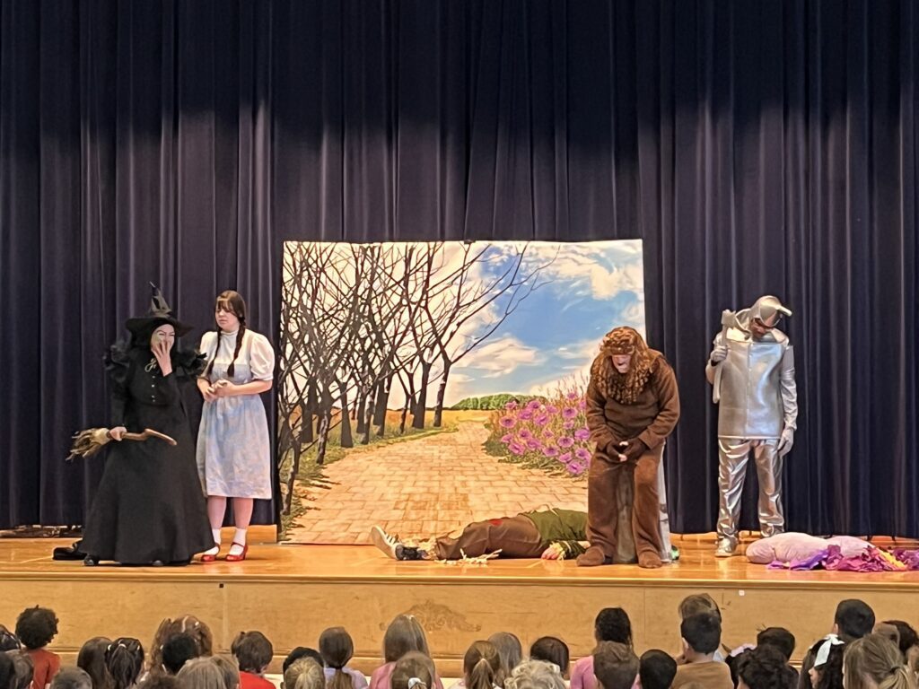 Cats of The Wizard of Oz act out play on stage
