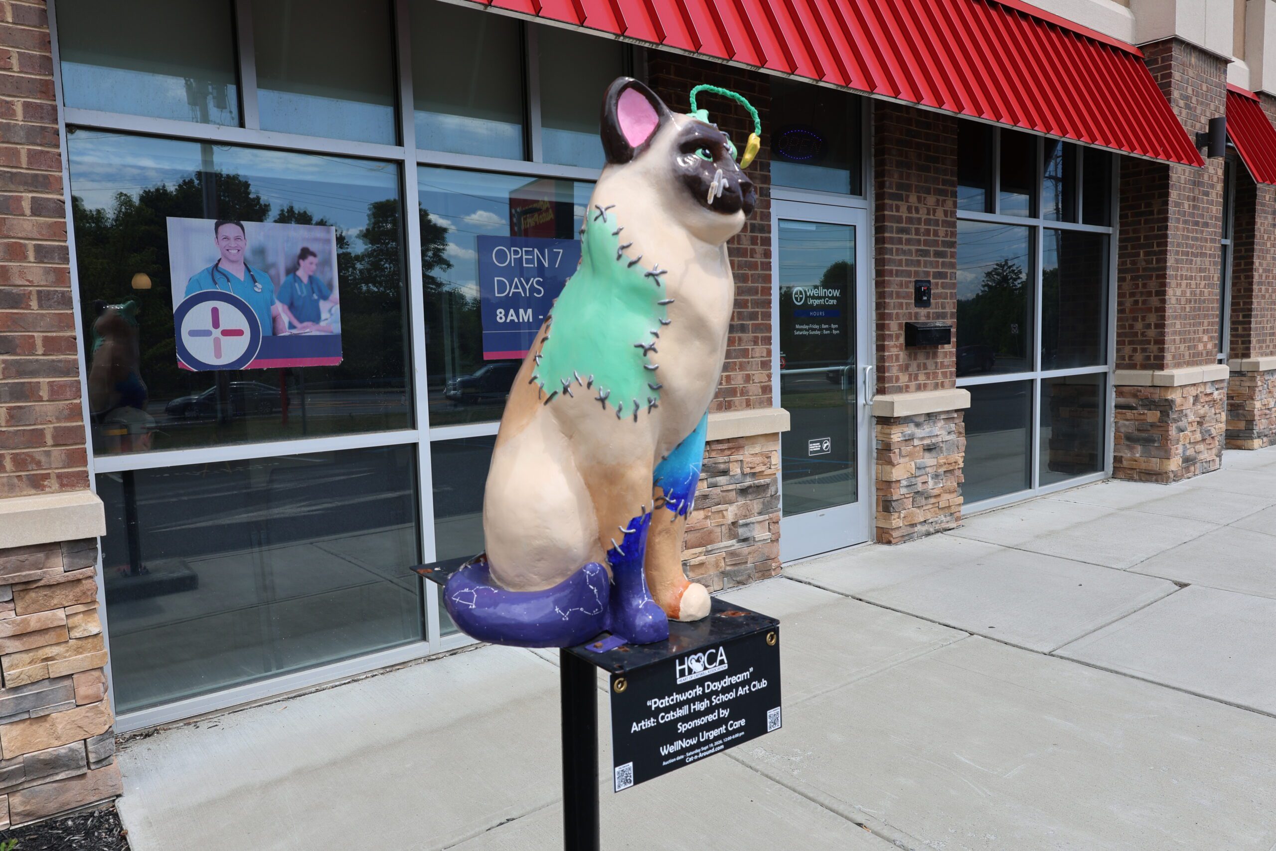 cat statue painted with color blotches in front of medical building